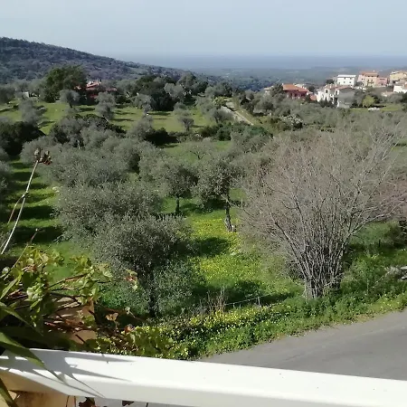 Stella Del Sud