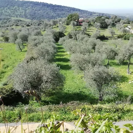 Lägenhet Stella Del Sud