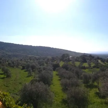 Stella Del Sud