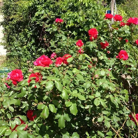Stella Del Sud Apartmán