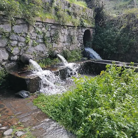 Stella Del Sud