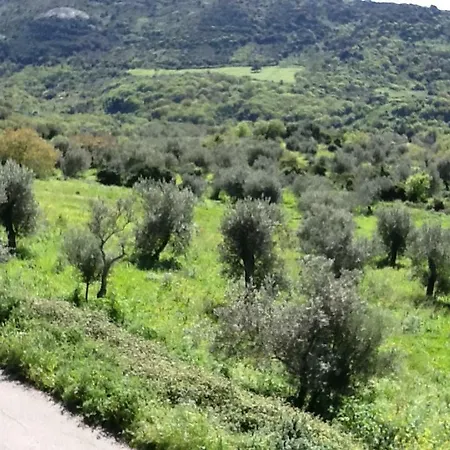 Stella Del Sud *