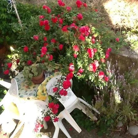 Stella Del Sud
