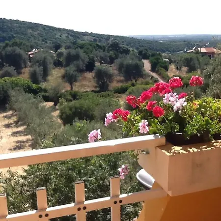 Stella Del Sud