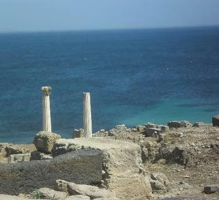 Stella Del Sud *