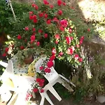 Stella Del Sud