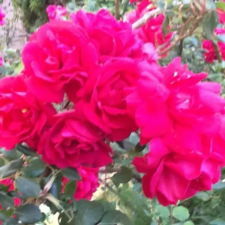 Stella Del Sud Apartamento *