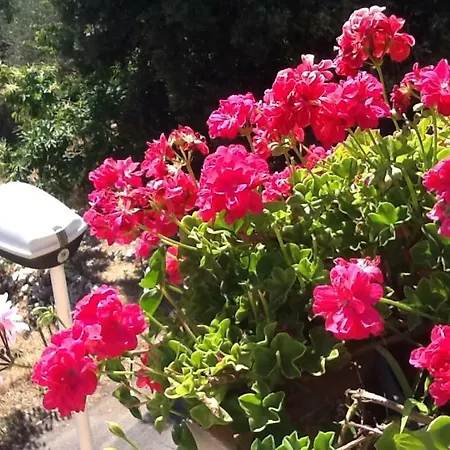 Apartmán Stella Del Sud Cuglieri